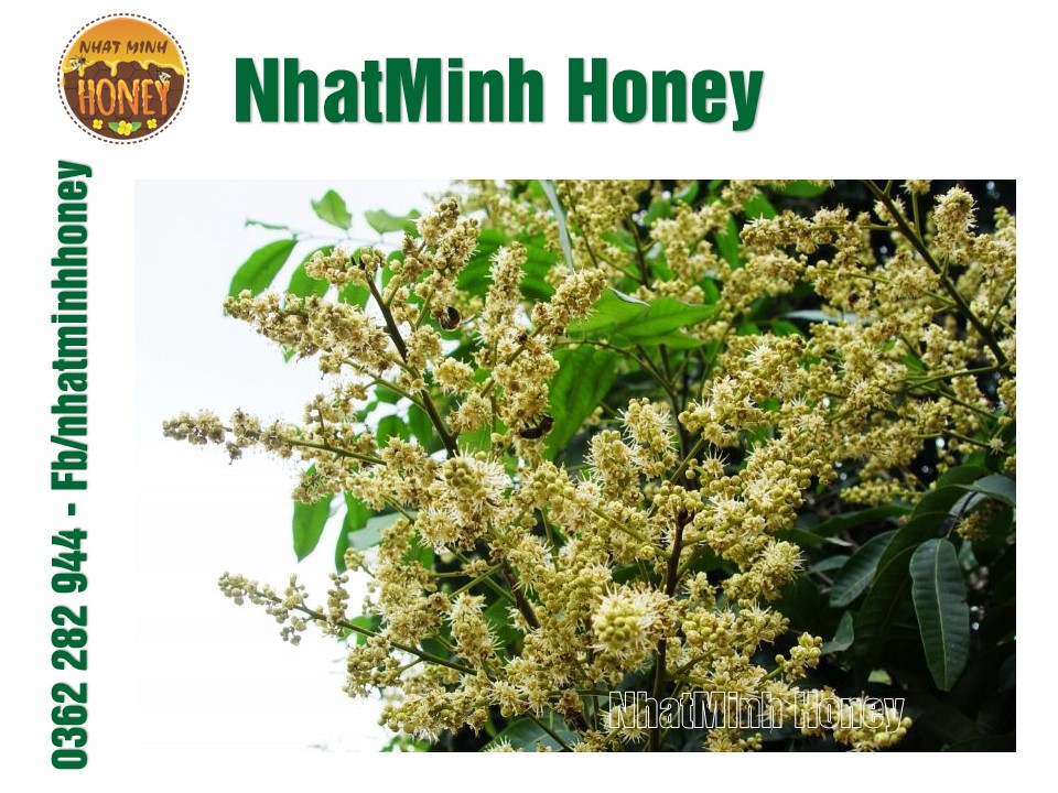 Tưới tự động KHÁNH VÂN