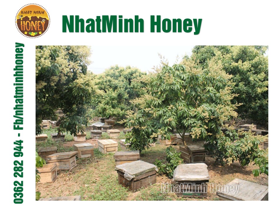 Tưới tự động KHÁNH VÂN