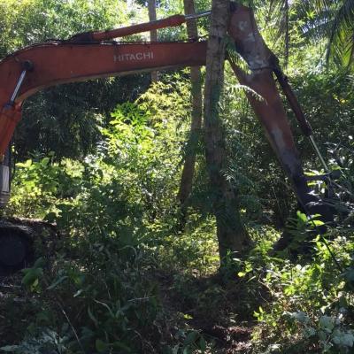 Nhật ký cải tạo 5000m2 vườn tạp kém hiệu quả thành vườn cây ăn trái